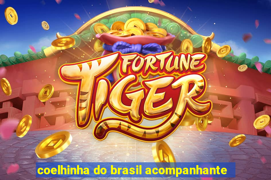 coelhinha do brasil acompanhante